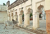 Orchha - entrance to the Dinman Hardol Palace